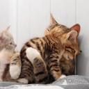 ほっとしたので。