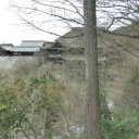 京都日帰り旅行