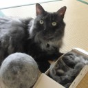 3月17日の日記