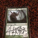《食百足/Vorapede》とかいう環境のソリューション