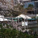 花冷え