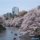 花冷え