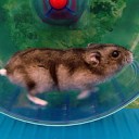 Marcelさんの休日の過ごし方