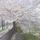 今日は雨…