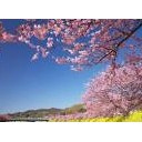 【無題】一期一会