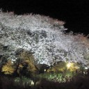 4月7日の日記