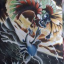 ポケモンのコレクションファイル届いた！2