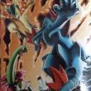 ポケモンのコレクションファイル届いた！2