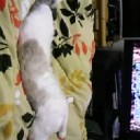4月11日の日記