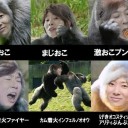 きんんんんもい