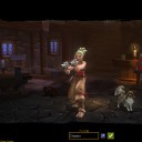 トーチライト２
