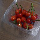 菖蒲（あやめ）・菖蒲（しょうぶ）・かきつばたの違い