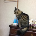 偉そう