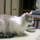 5月14日の日記