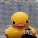 2013/5/17  今は香港を旅しています。