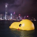 2013/5/17  今は香港を旅しています。