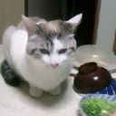 6月3日の日記