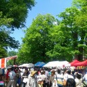 北大祭ポケカ
