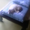 6月10日の日記