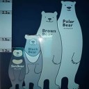 ひたすら焼売