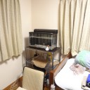 6月17日の日記　飼育3日目