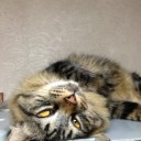 【グロ注意】し、死んでる…