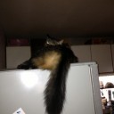 ケツでしょ