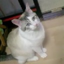 7月9日の日記