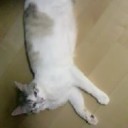 7月10日の日記