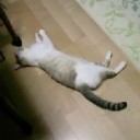 7月10日の日記