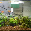 生き物係の仕事