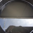 7月15日の日記　飼育31日目