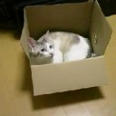 7月17日の日記