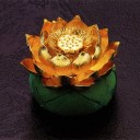 【TtV20】《金粉の水蓮/Gilded Lotus》が…