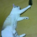 7月26日の日記