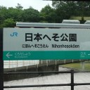 今年は記録尽くめ