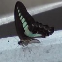暑さのさなか