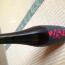 新潟なう。その3