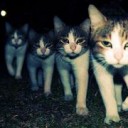 んつんつします