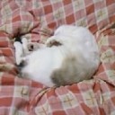 8月27日の日記