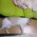 8月28日の日記