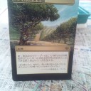 【拡張アート】風変わりな果樹園