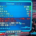 コブラ入手