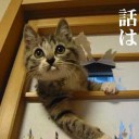そーえば