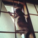 よし