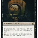 モダン環境全般大量補充！！＆スタンダード売れ行きランキング！！