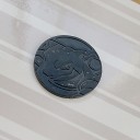ありがとう、カメックスコイン