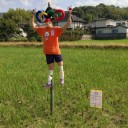 冬支度