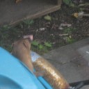 最近のお客様　多士済々