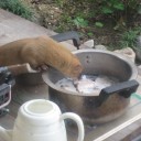 最近のお客様　多士済々